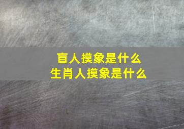 盲人摸象是什么生肖人摸象是什么