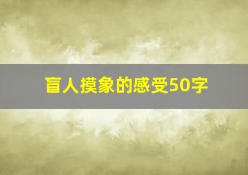 盲人摸象的感受50字