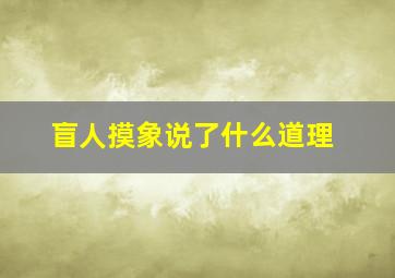 盲人摸象说了什么道理