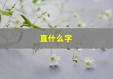 直什么字