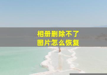 相册删除不了图片怎么恢复