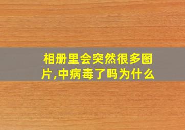 相册里会突然很多图片,中病毒了吗为什么