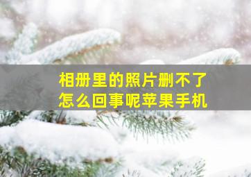 相册里的照片删不了怎么回事呢苹果手机