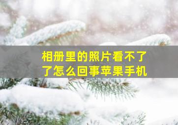 相册里的照片看不了了怎么回事苹果手机