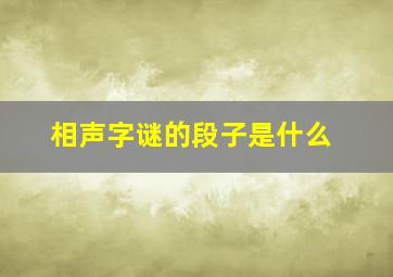 相声字谜的段子是什么