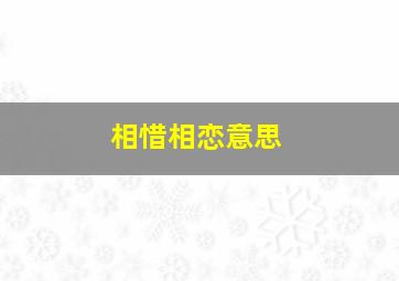 相惜相恋意思