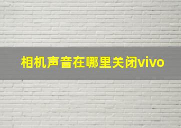 相机声音在哪里关闭vivo