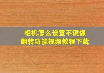 相机怎么设置不镜像翻转功能视频教程下载