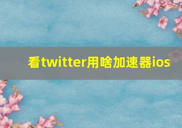 看twitter用啥加速器ios