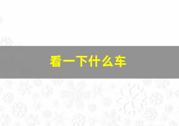 看一下什么车