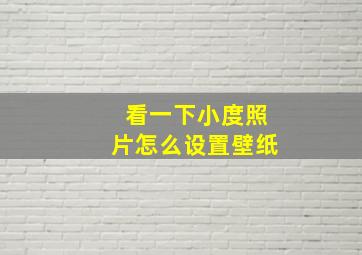 看一下小度照片怎么设置壁纸