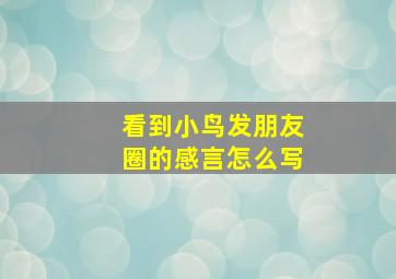 看到小鸟发朋友圈的感言怎么写