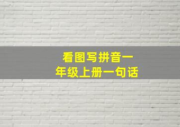 看图写拼音一年级上册一句话