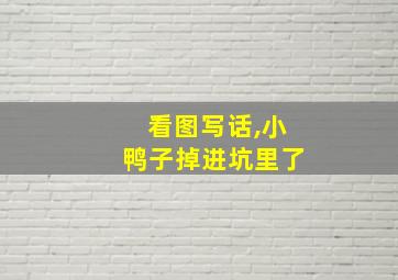 看图写话,小鸭子掉进坑里了