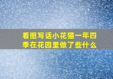 看图写话小花猫一年四季在花园里做了些什么