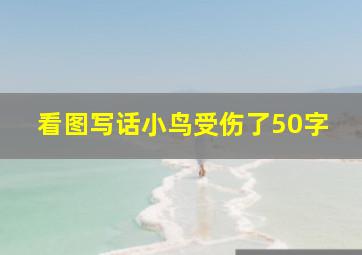 看图写话小鸟受伤了50字