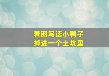 看图写话小鸭子掉进一个土坑里