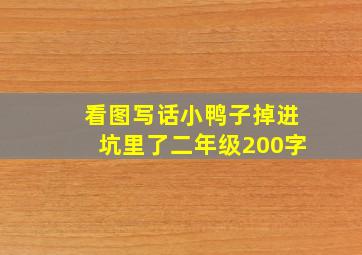 看图写话小鸭子掉进坑里了二年级200字