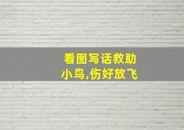 看图写话救助小鸟,伤好放飞