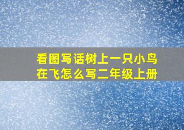 看图写话树上一只小鸟在飞怎么写二年级上册