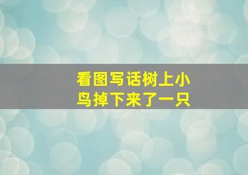 看图写话树上小鸟掉下来了一只