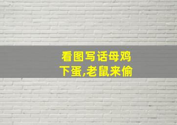 看图写话母鸡下蛋,老鼠来偷