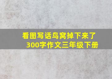 看图写话鸟窝掉下来了300字作文三年级下册