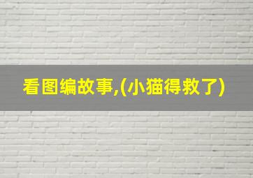 看图编故事,(小猫得救了)