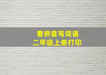 看拼音写词语二年级上册打印