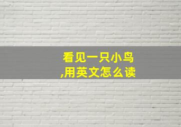 看见一只小鸟,用英文怎么读