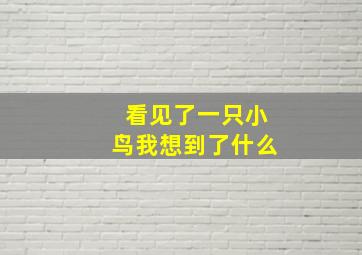 看见了一只小鸟我想到了什么