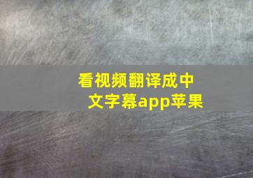 看视频翻译成中文字幕app苹果