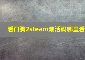 看门狗2steam激活码哪里看