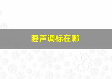 睡声调标在哪