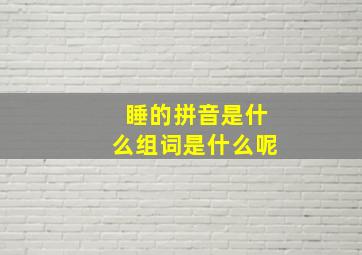 睡的拼音是什么组词是什么呢