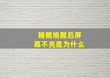 睡眠唤醒后屏幕不亮是为什么