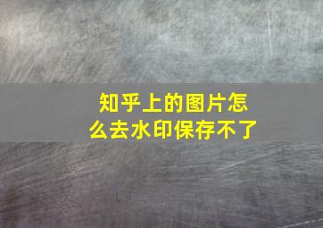 知乎上的图片怎么去水印保存不了