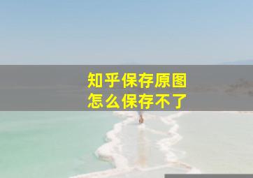 知乎保存原图怎么保存不了