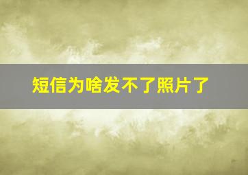 短信为啥发不了照片了