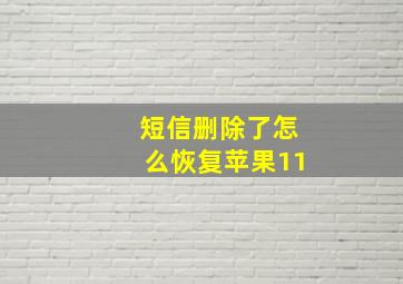 短信删除了怎么恢复苹果11