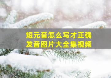 短元音怎么写才正确发音图片大全集视频