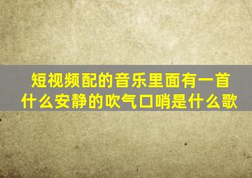 短视频配的音乐里面有一首什么安静的吹气口哨是什么歌