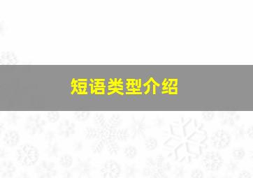 短语类型介绍