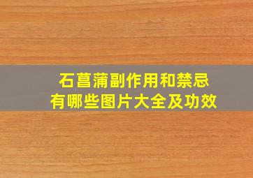 石菖蒲副作用和禁忌有哪些图片大全及功效