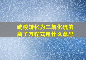 硫酸转化为二氧化硫的离子方程式是什么意思