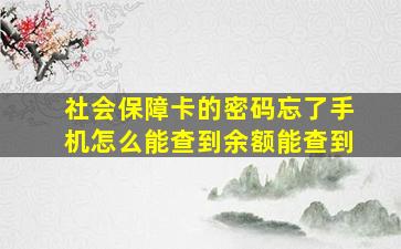 社会保障卡的密码忘了手机怎么能查到余额能查到