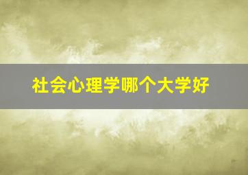 社会心理学哪个大学好