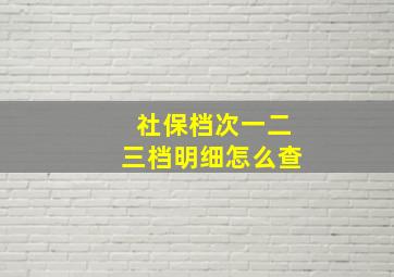 社保档次一二三档明细怎么查