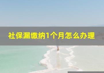 社保漏缴纳1个月怎么办理