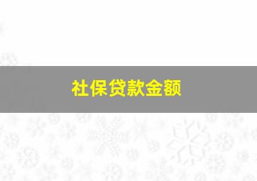 社保贷款金额